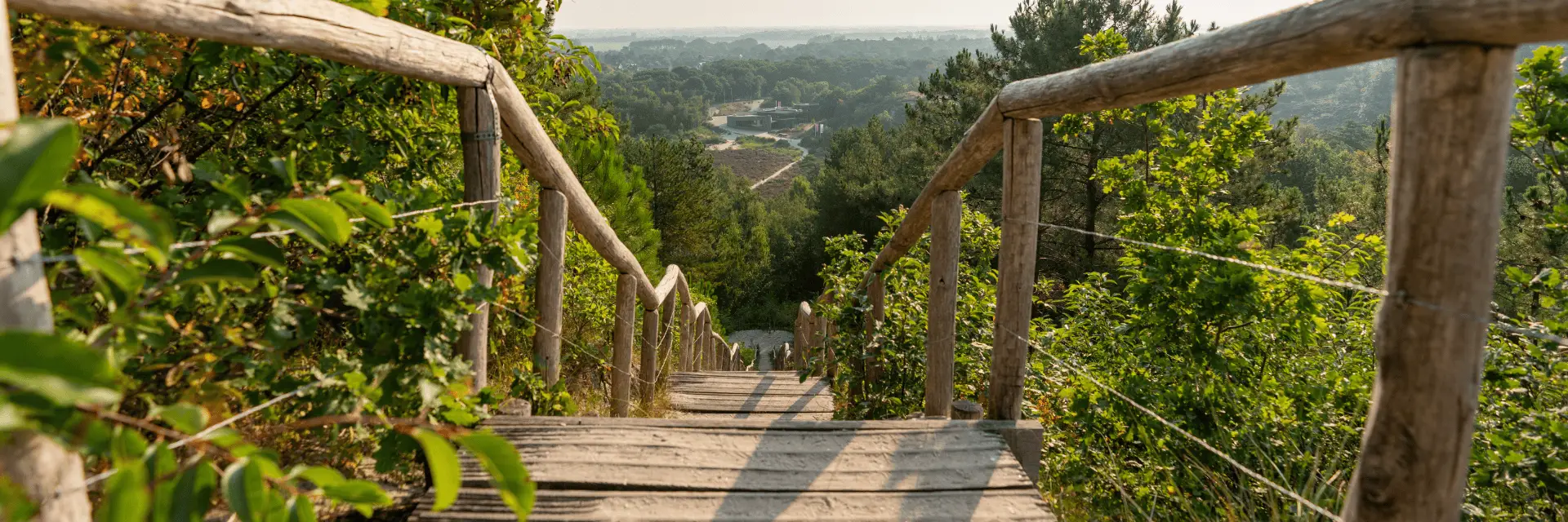 Houten trappen in de Schoorlse Duinen met uitzicht op Schoorl en het buitencentrum