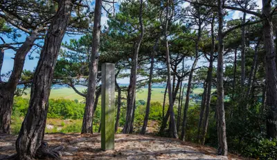 Uitzichtpunt in een bos met dennenbomen en een markeringspaal, met zicht over een groen polderlandschap in de verte.