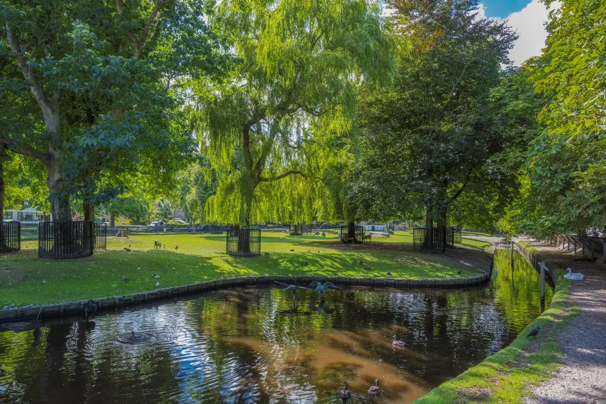 Meer in een park in Bergen
