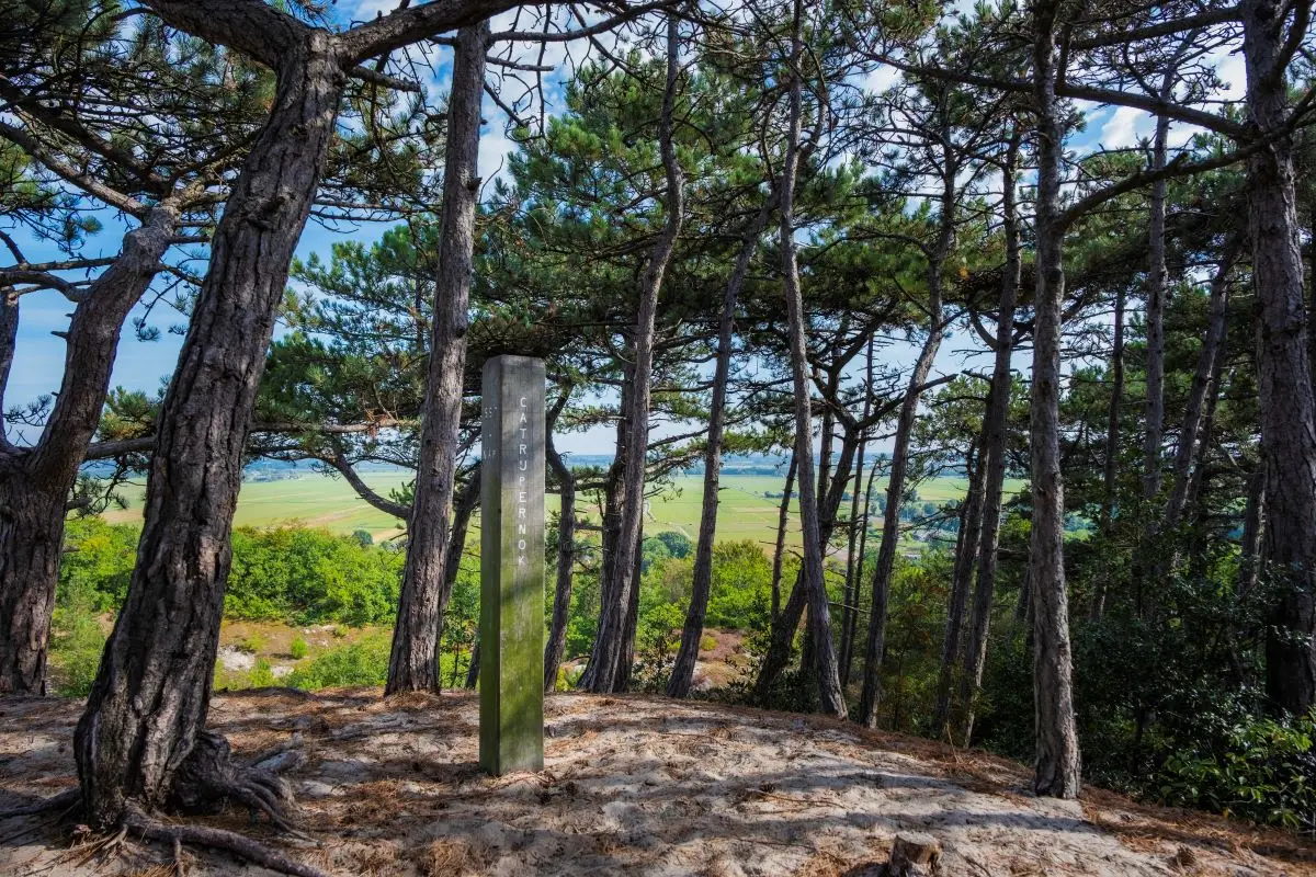 Uitzichtpunt bij het Catrijpernok met houten paaltje en omringd door groene dennenbomen en uitzicht over Catrijp op een zomerse dag
