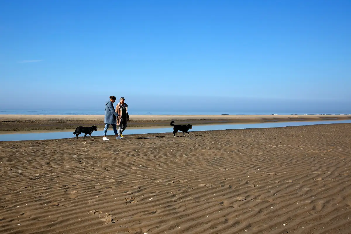 mensen die de hond uitlaten op het strand