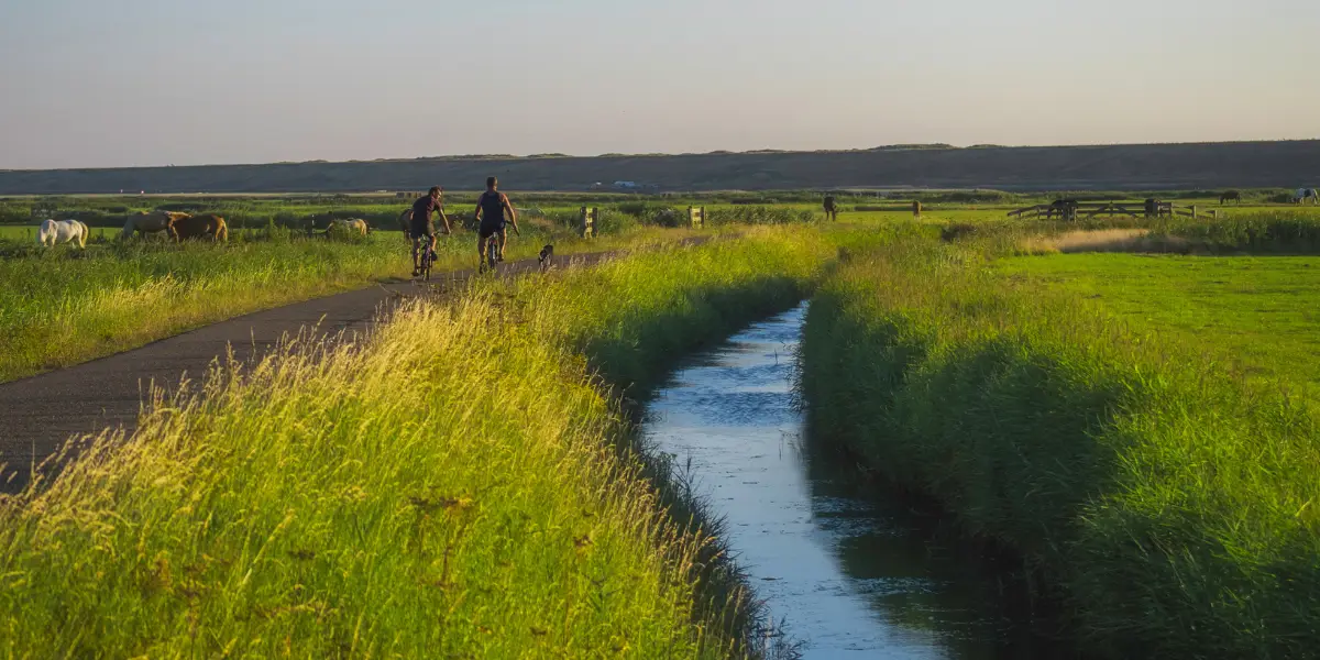 Duindorp Schoorl Magazine