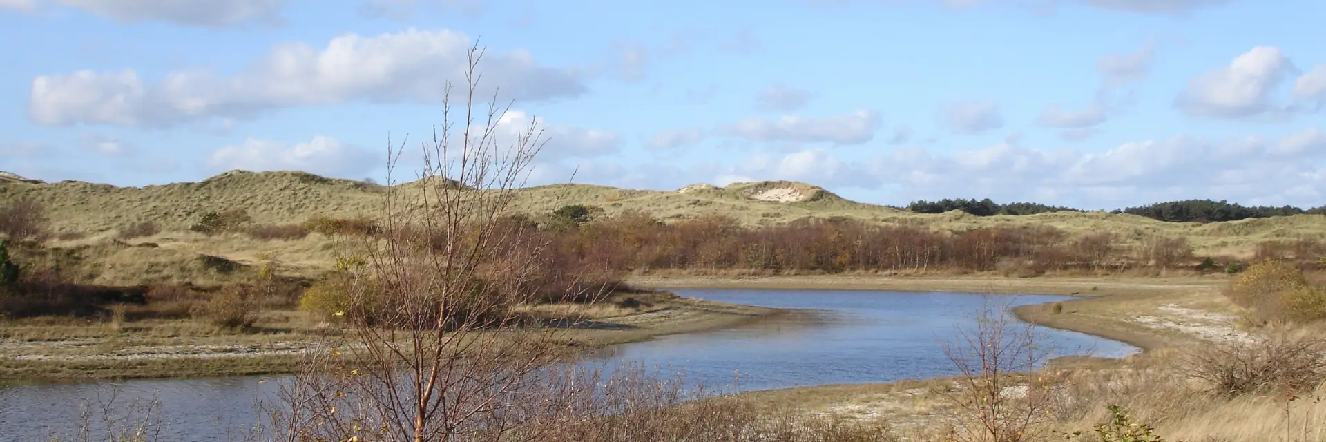 Dünen mit einer Wasserlache daneben