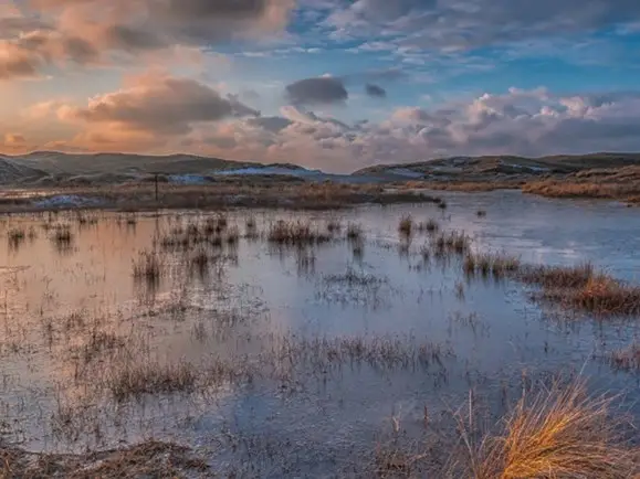 Zee en duinen uitzicht