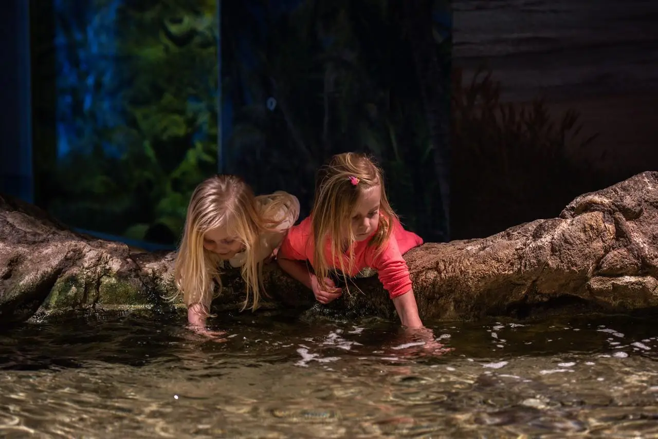 aquarium in Bergen