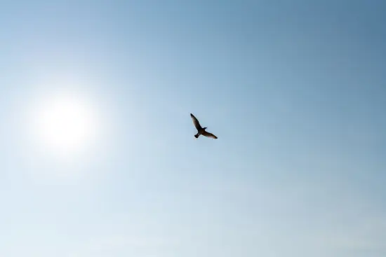 één foto in de helder blauwe lucht