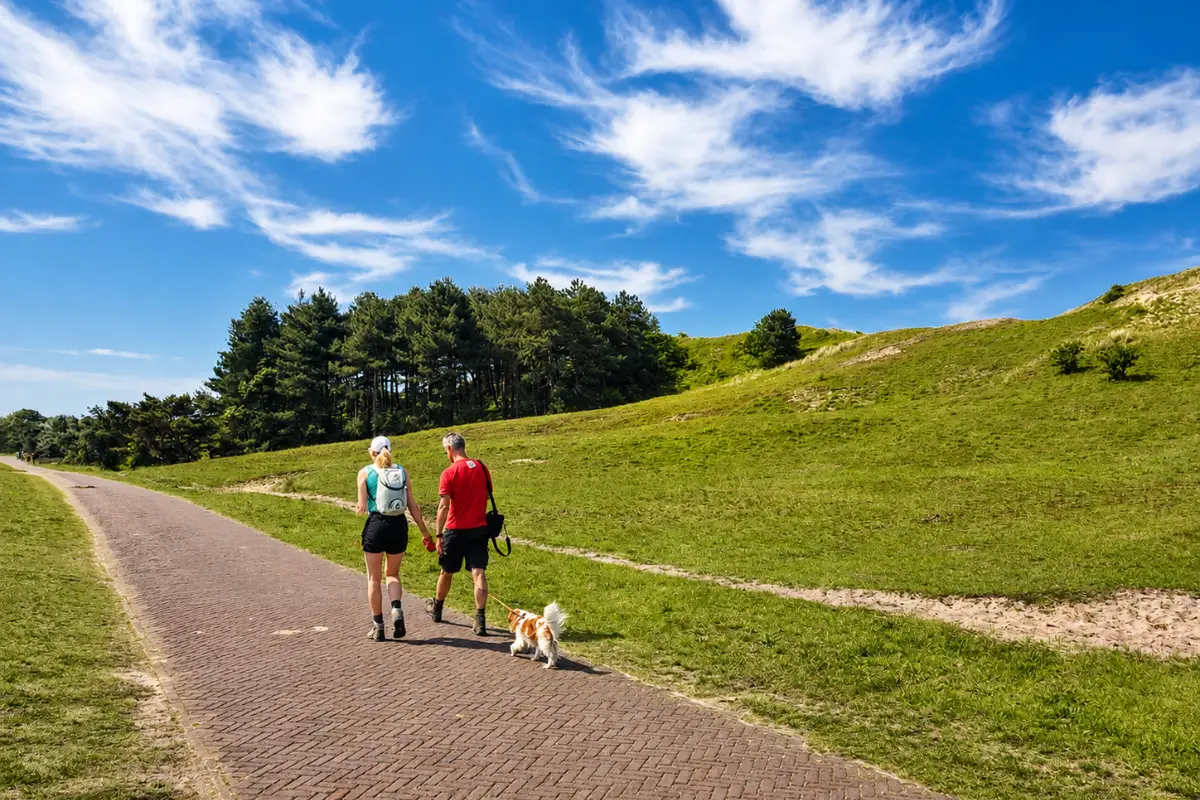 Wandelen