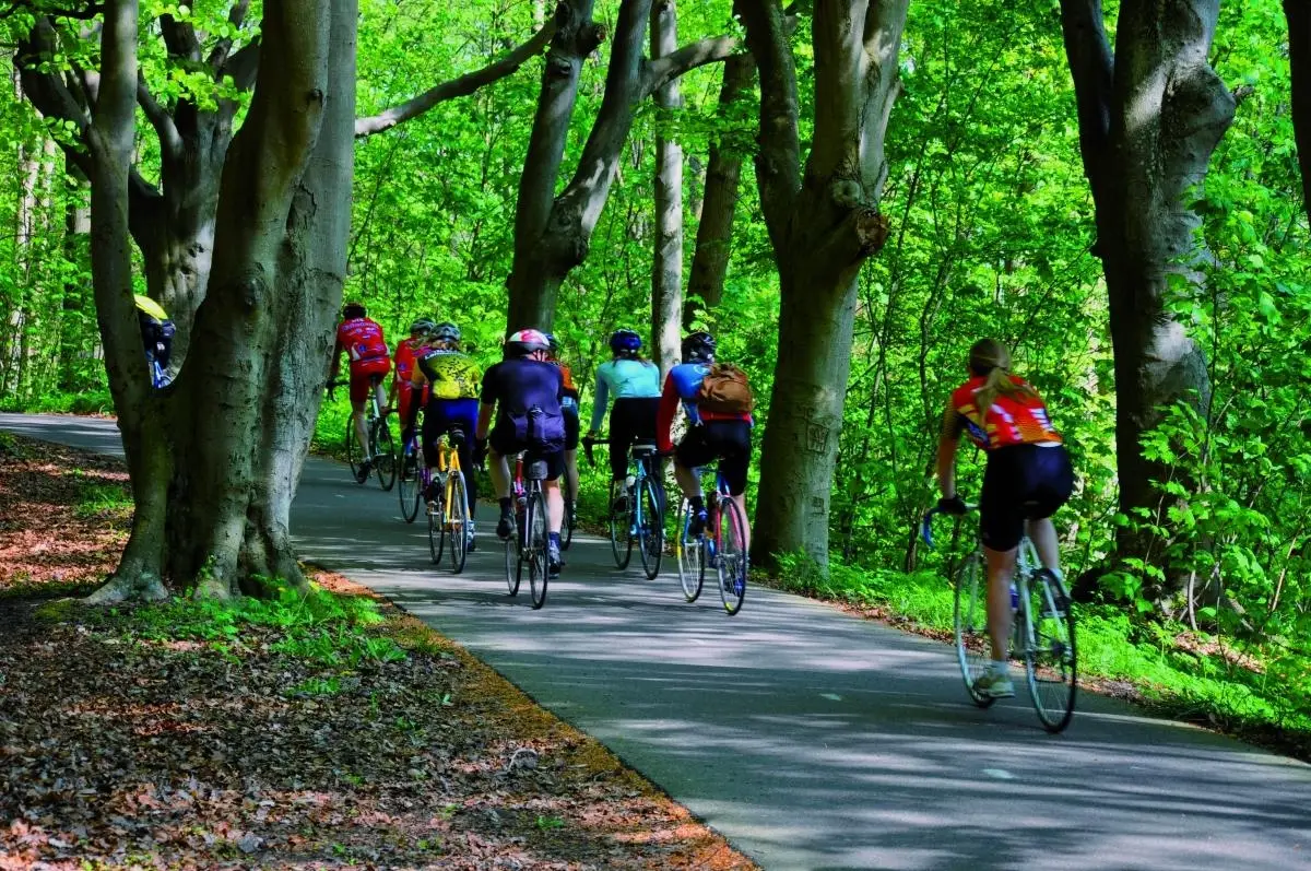 Wielrenners op een fietspad in Egmond door het bos