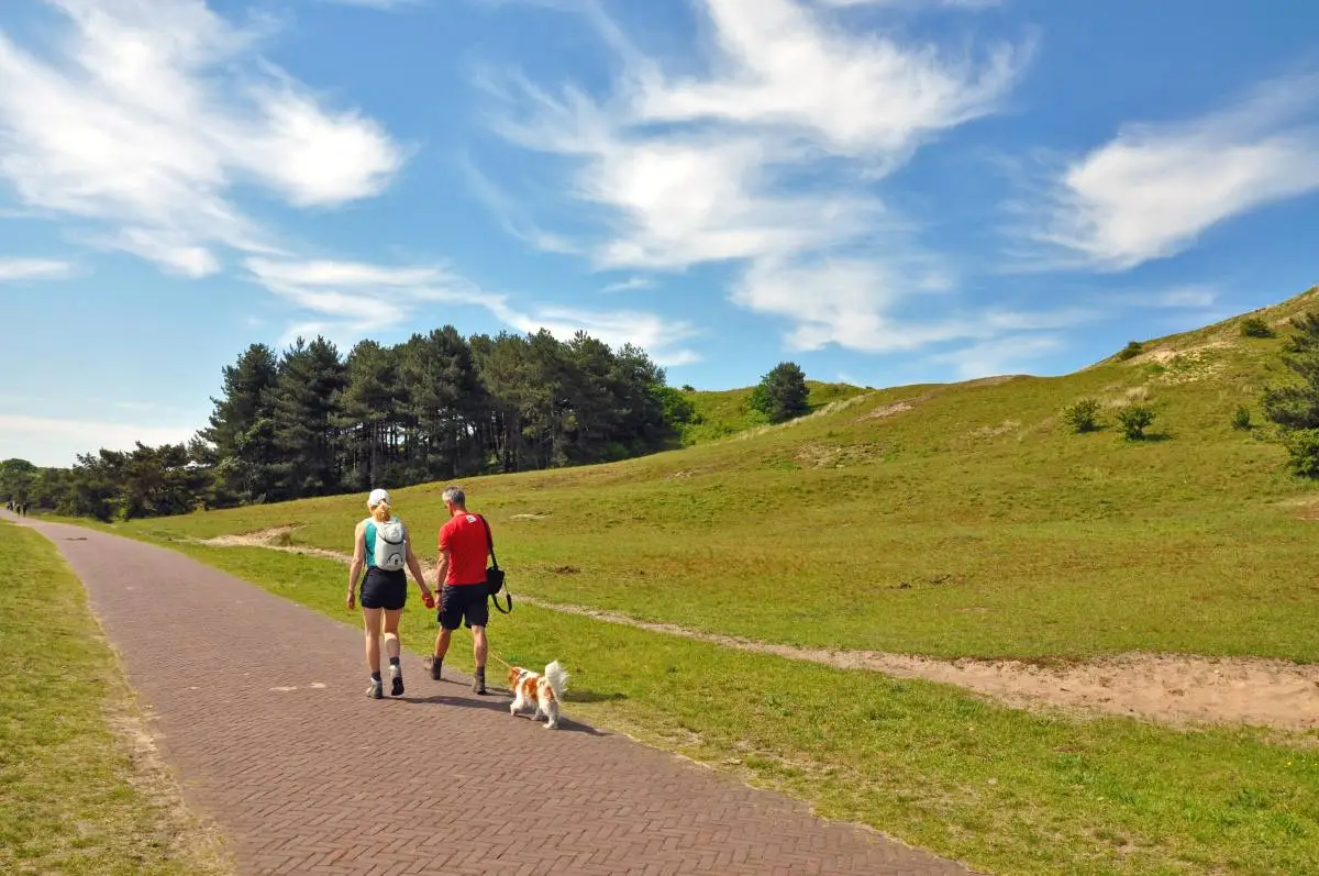 Wandelaars lopen met een hondje over een klinkerpad door de Egmondse duinen