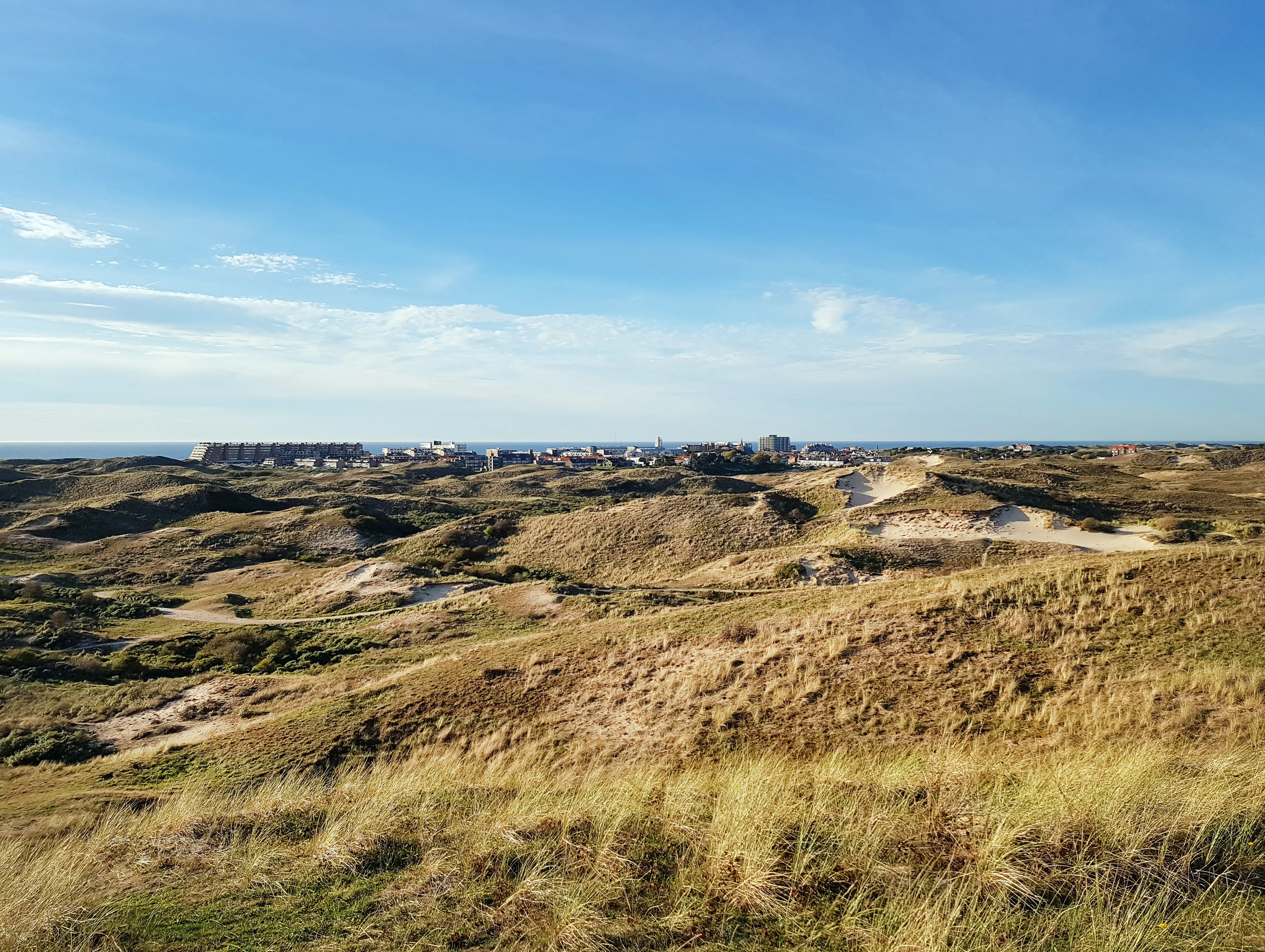 Foto van de duinen van Egmond