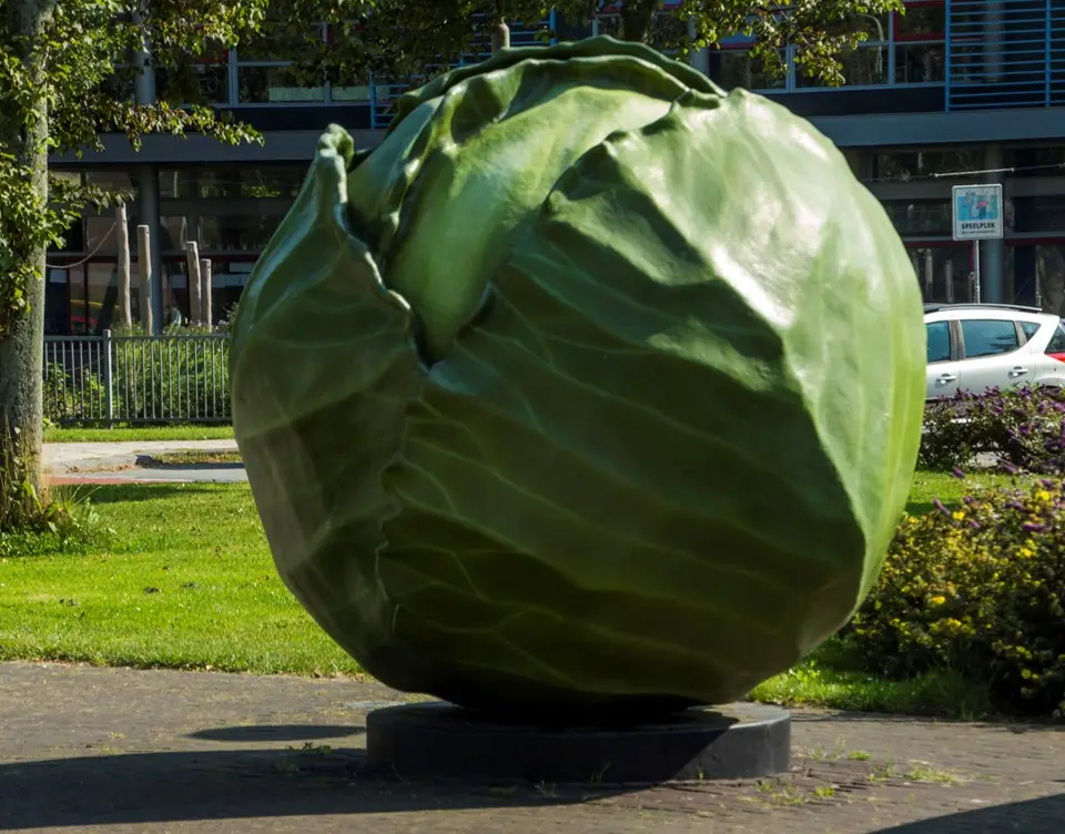 Kool bij de Broekerveiling
