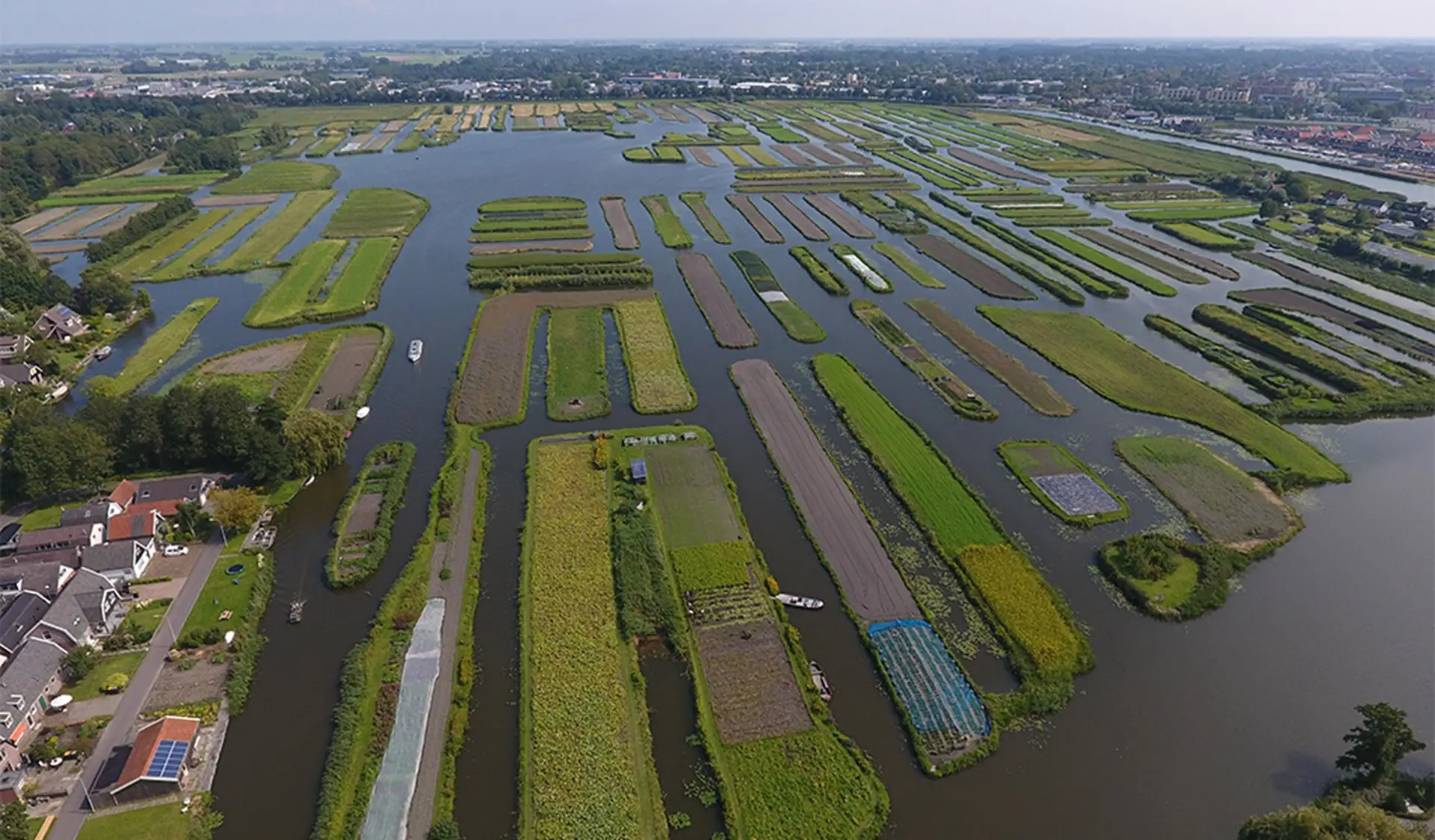 Het Oosterdelgebied vanaf boven met alle groene eilandjes en op de achtergrond een aantal woningen.