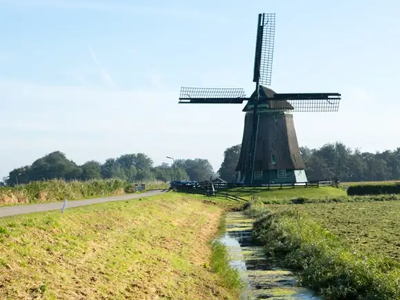 Obdammermolen langs de dijk
