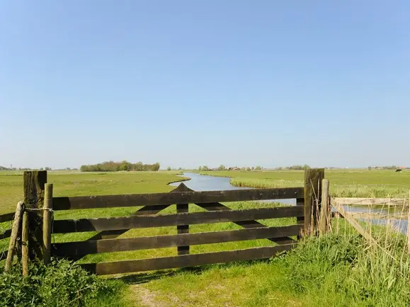 Polder van Dijk en Waard, hek met daarachter weilanden.