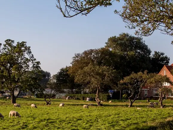 Landerijen van Heerhugowaard