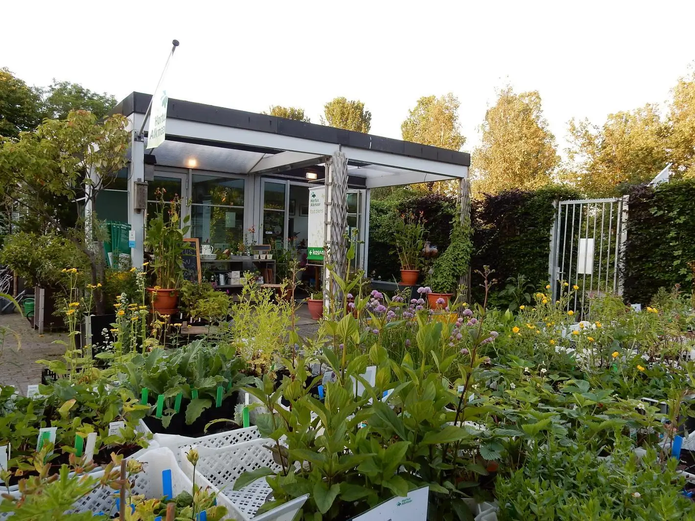 Hortus in Alkmaar