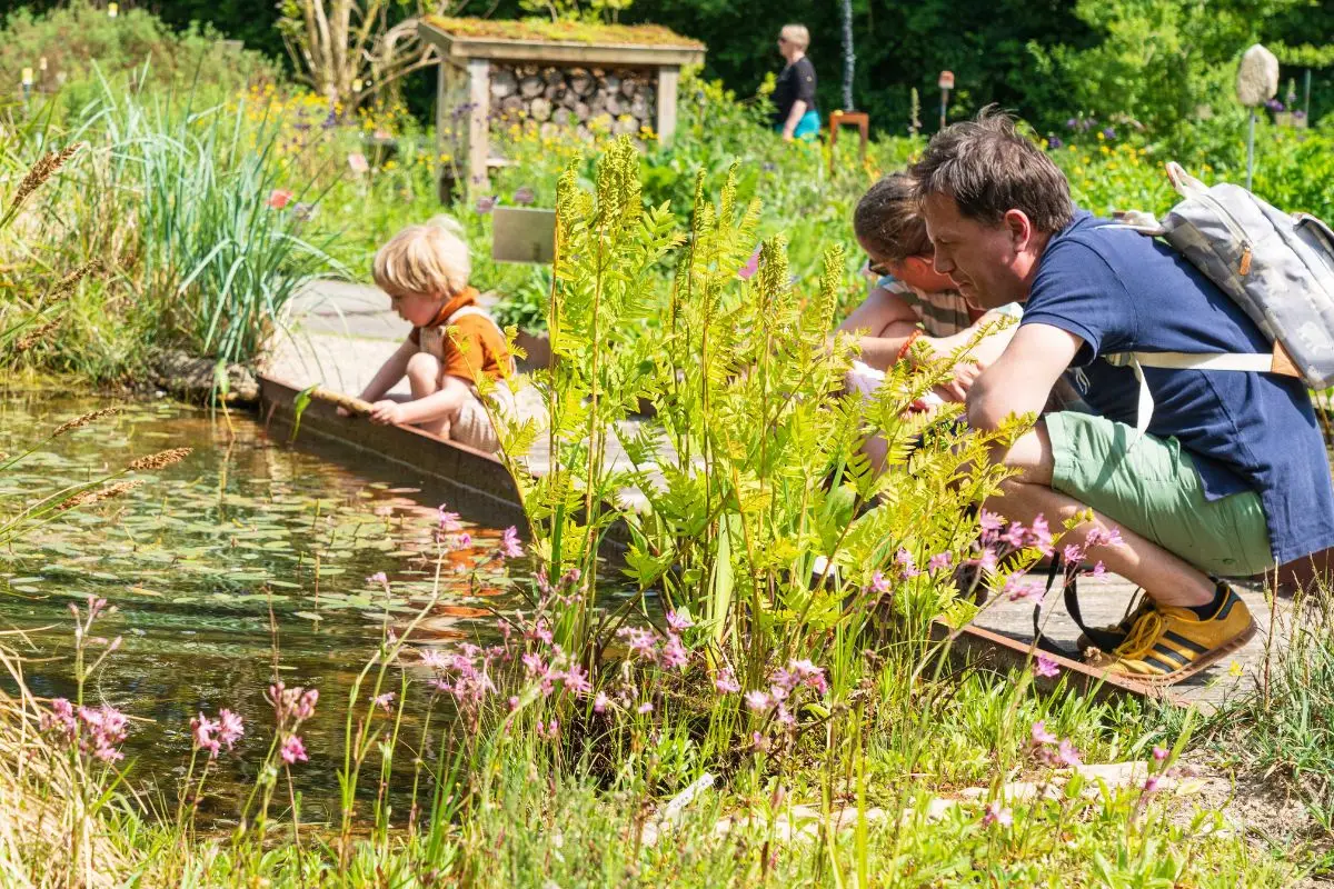 Hortus in Alkmaar