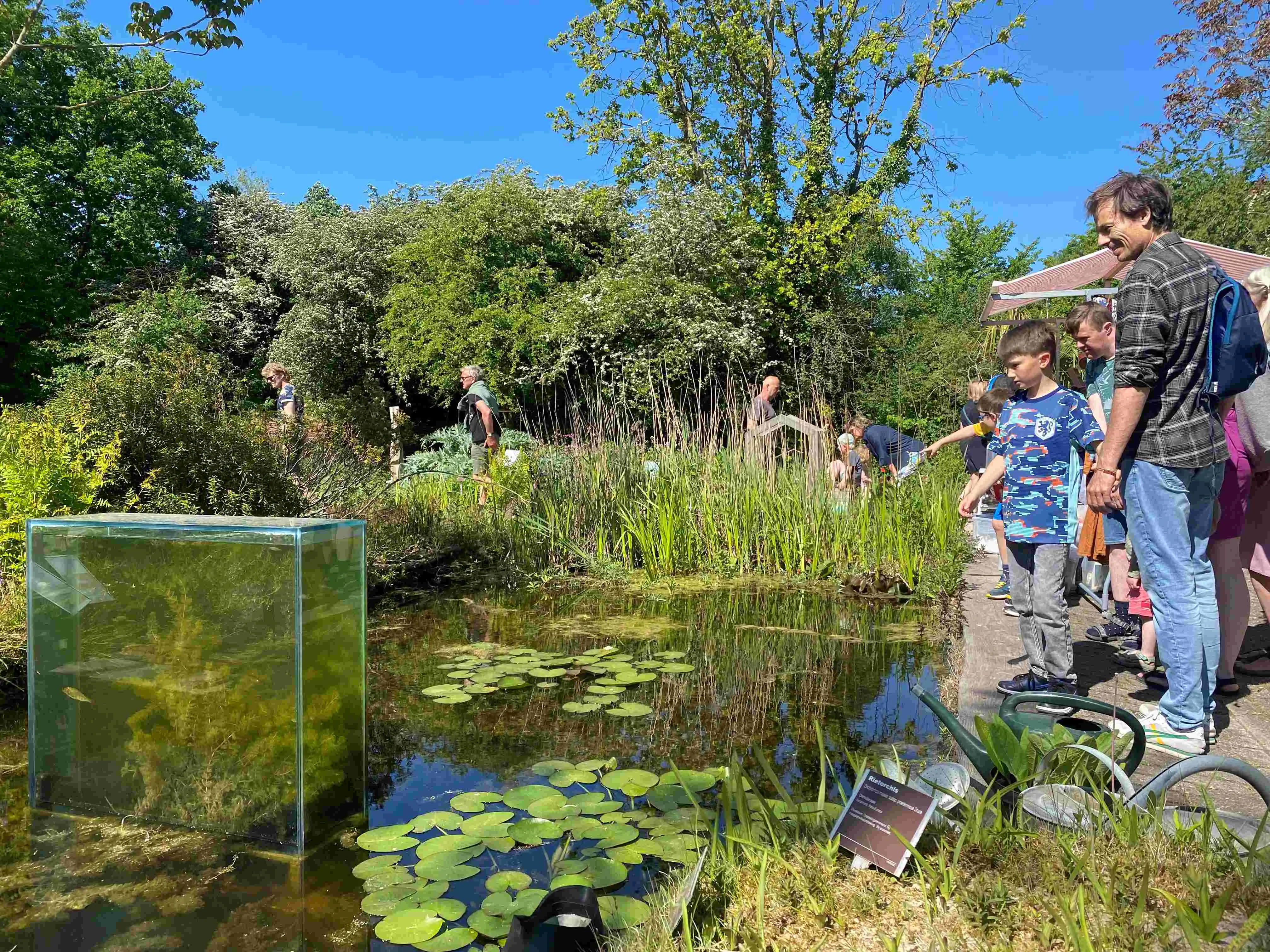Vader en zoon die kijken naar een vijver bij Hortus Alkmaar