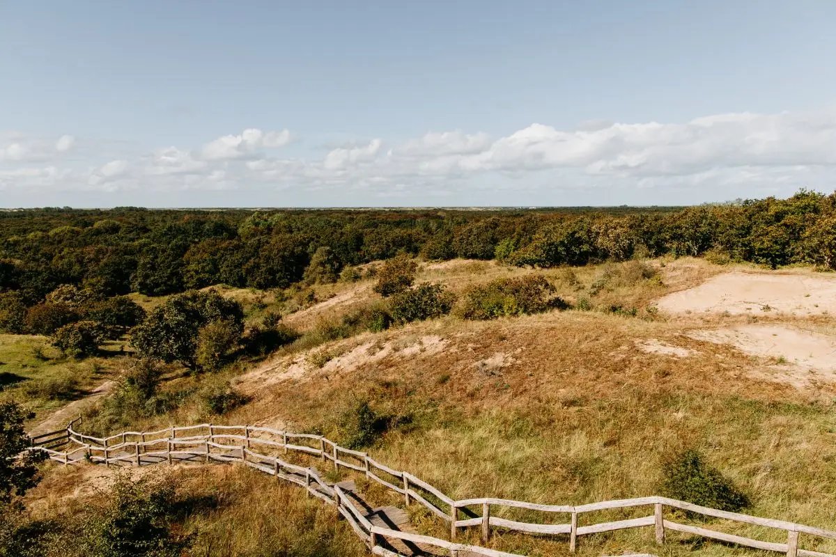 Duinen Castricum