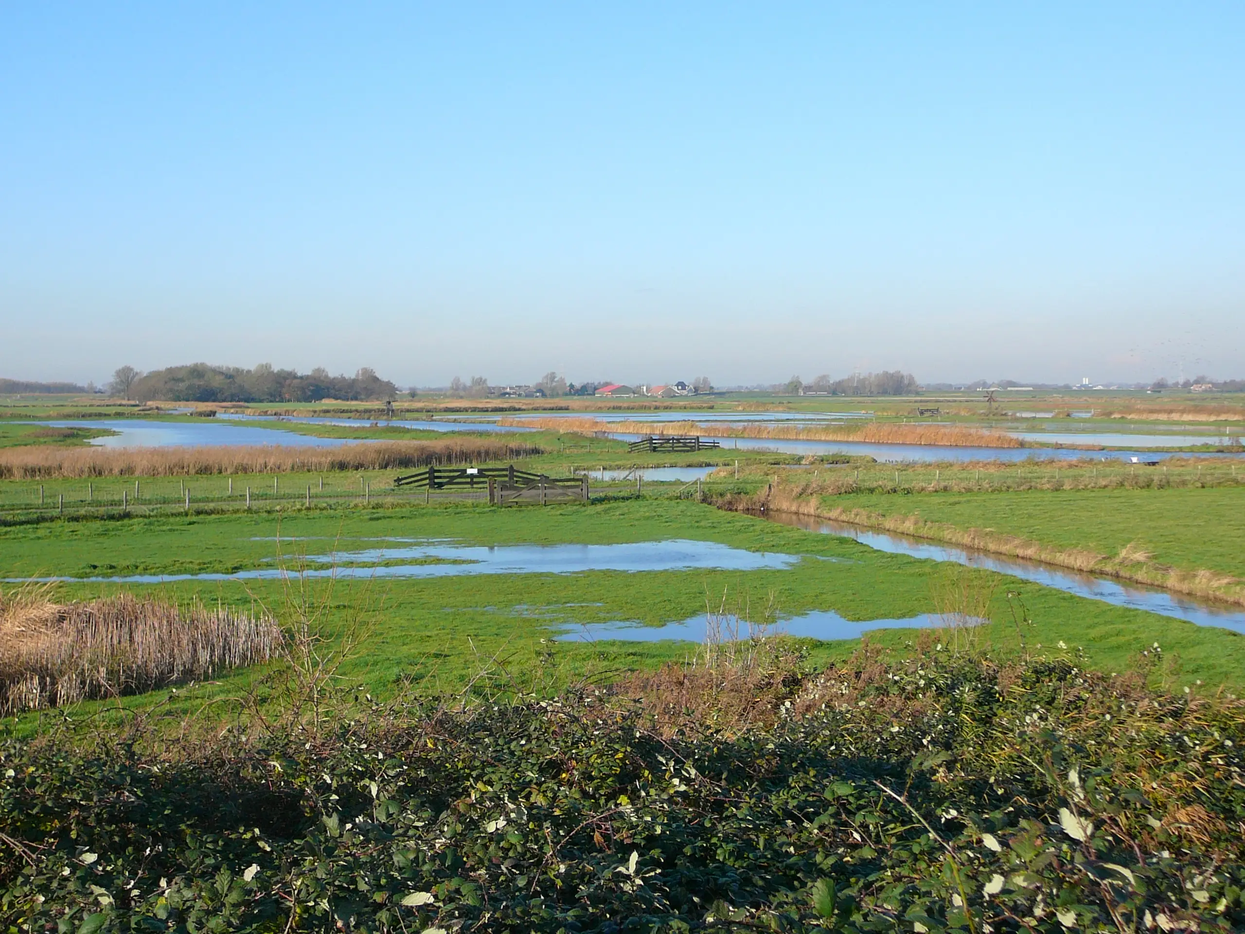 Polder met waterplassen