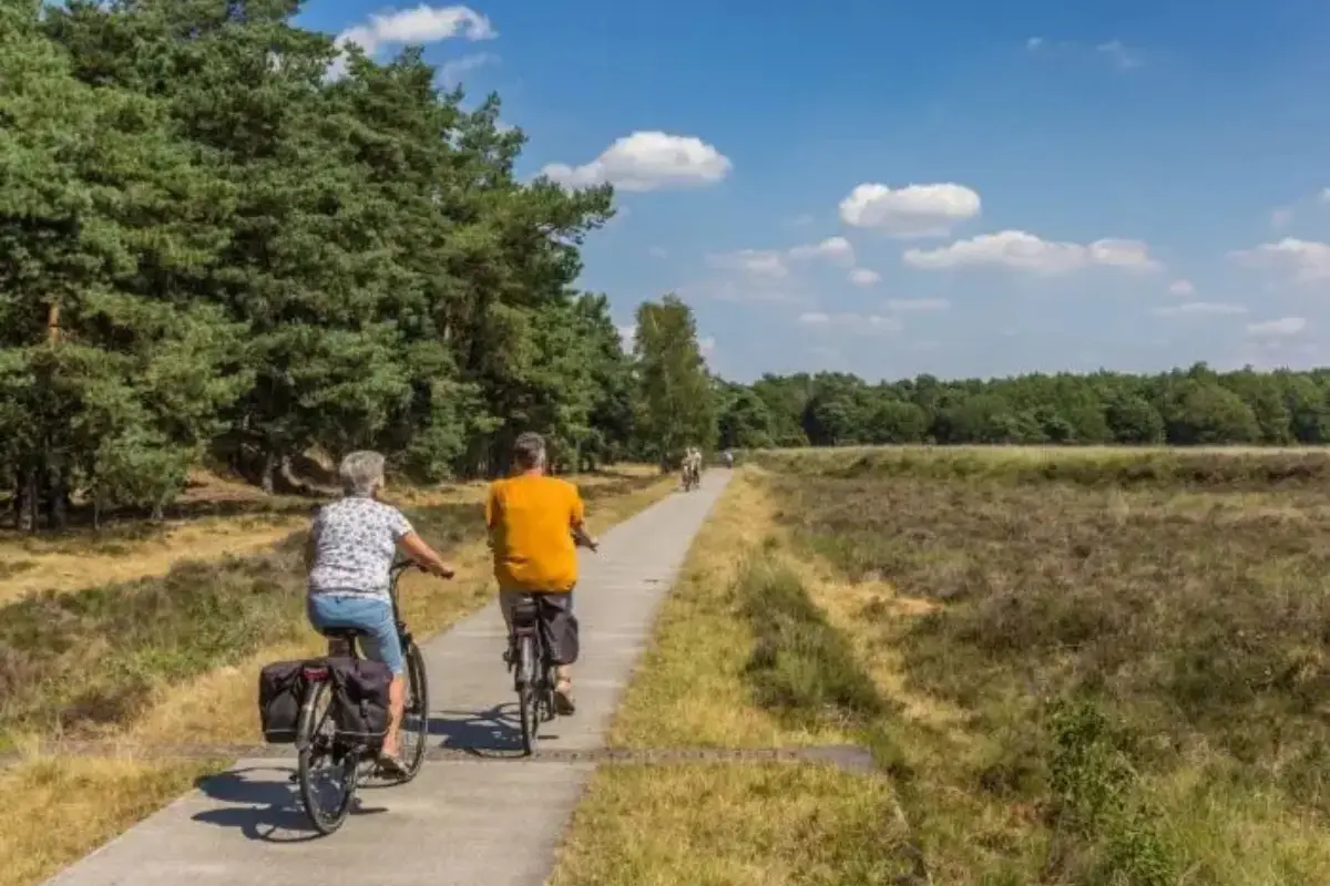 mensen op de fiets door het bos