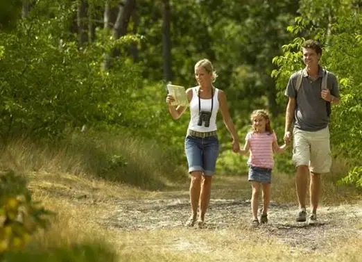 Wandelen in het bos van Schoorl