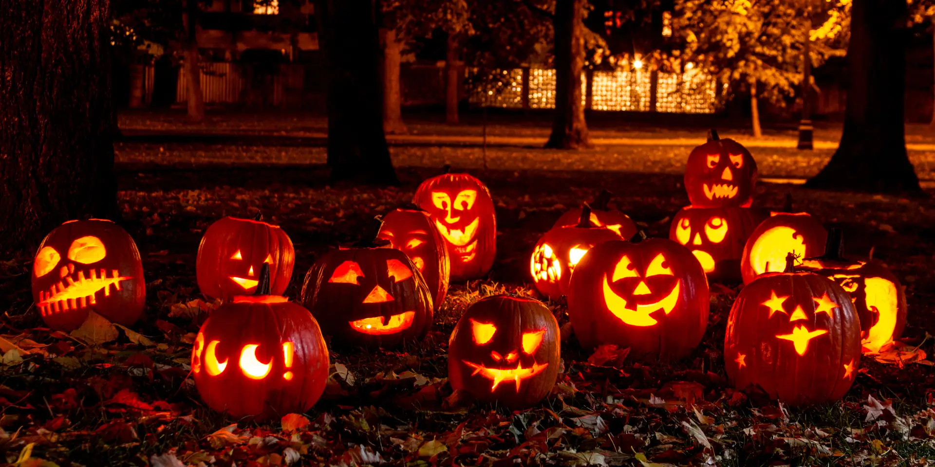 Halloween in de Regio Alkmaar