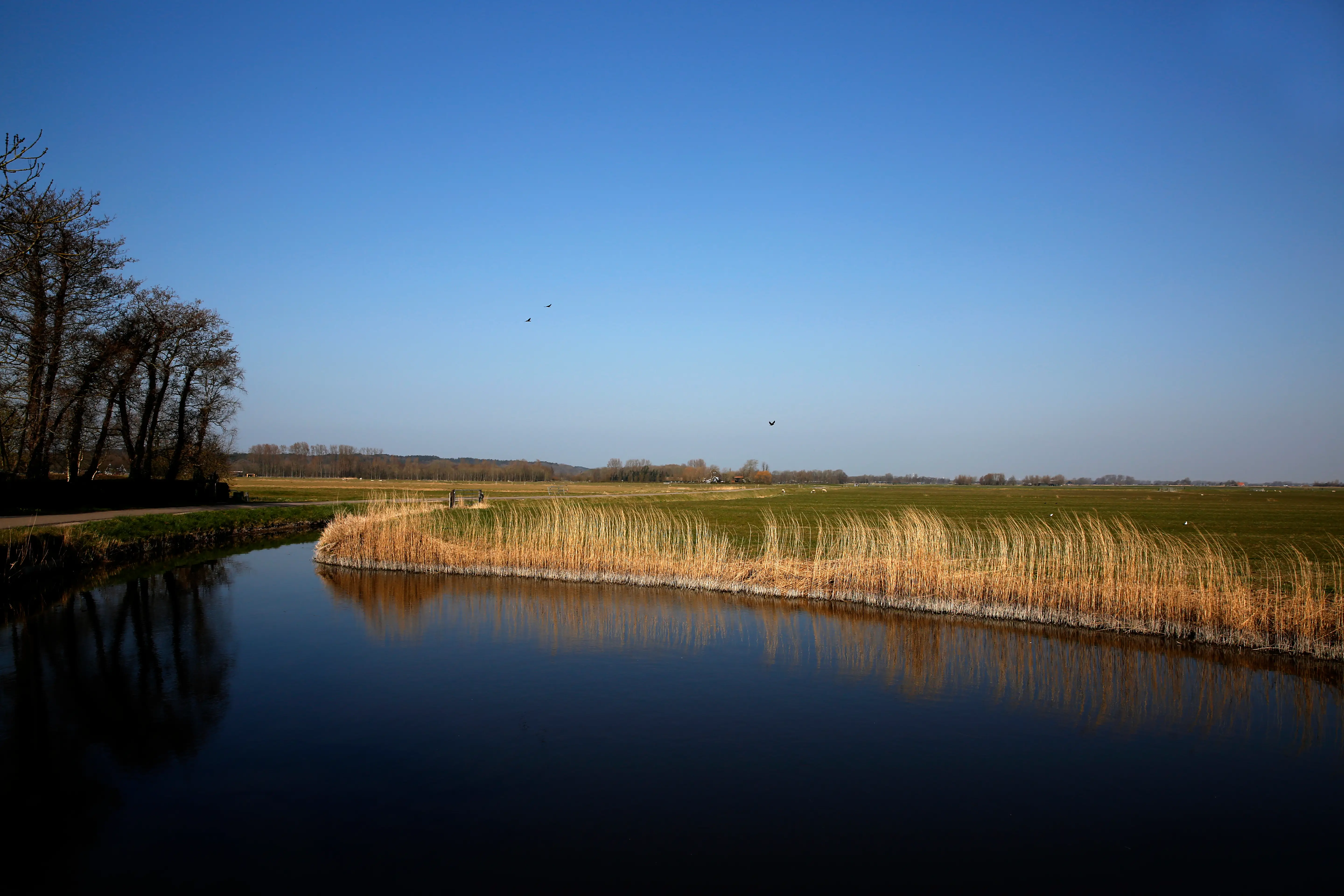 Polder van Bergen