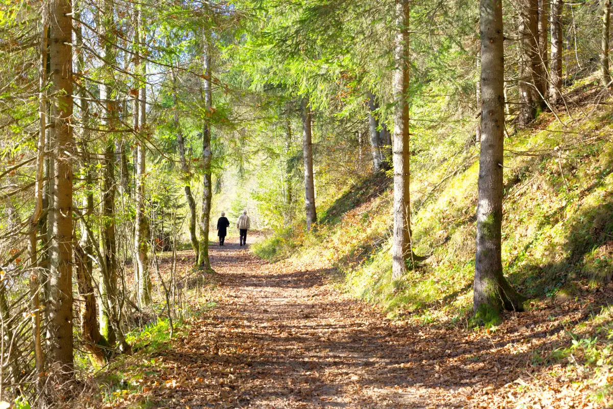 wandelen
